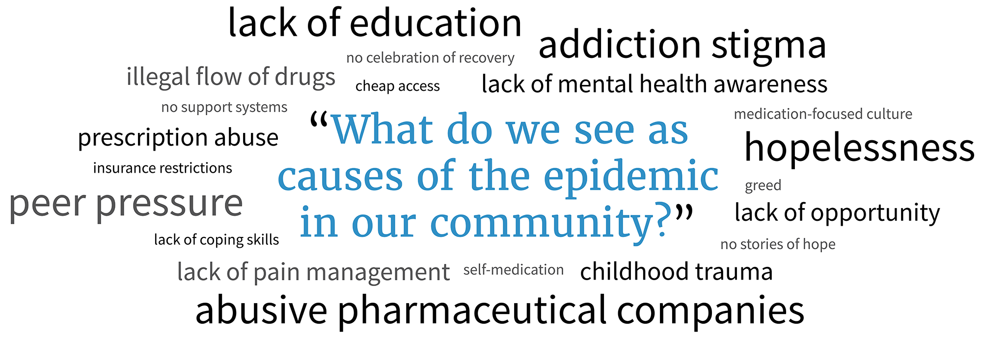 what do we see as causes of the epidemic community answers