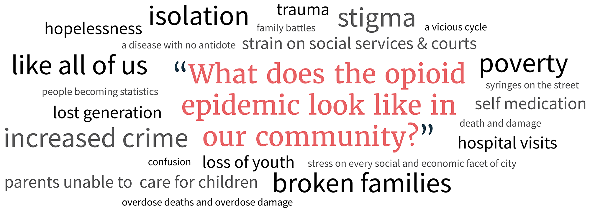 what does the opioid epidemic look like in our community participant answers